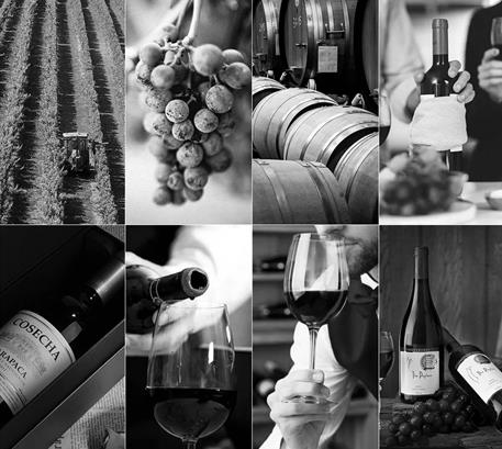 毕节葡萄酒生产企业模板网站开发